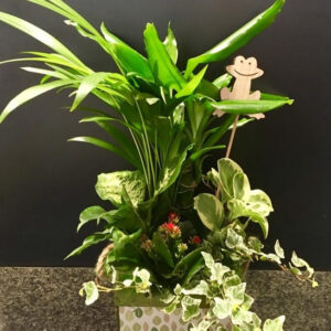 CESTA DE PLANTAS VARIADAS