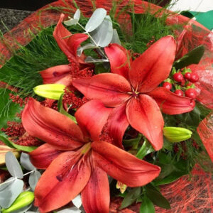 RAMO LILIUMS 1 COLOR